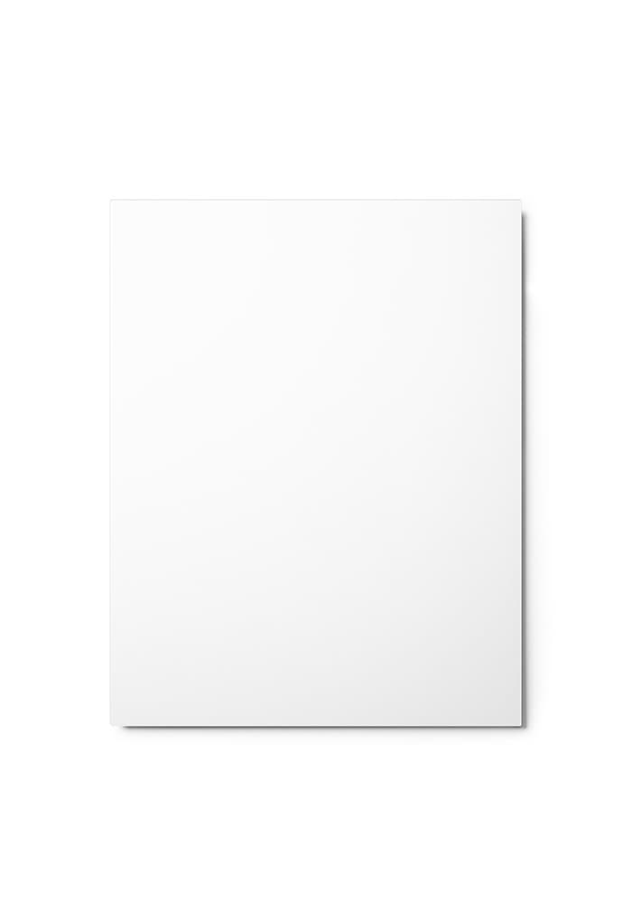 Metal Print