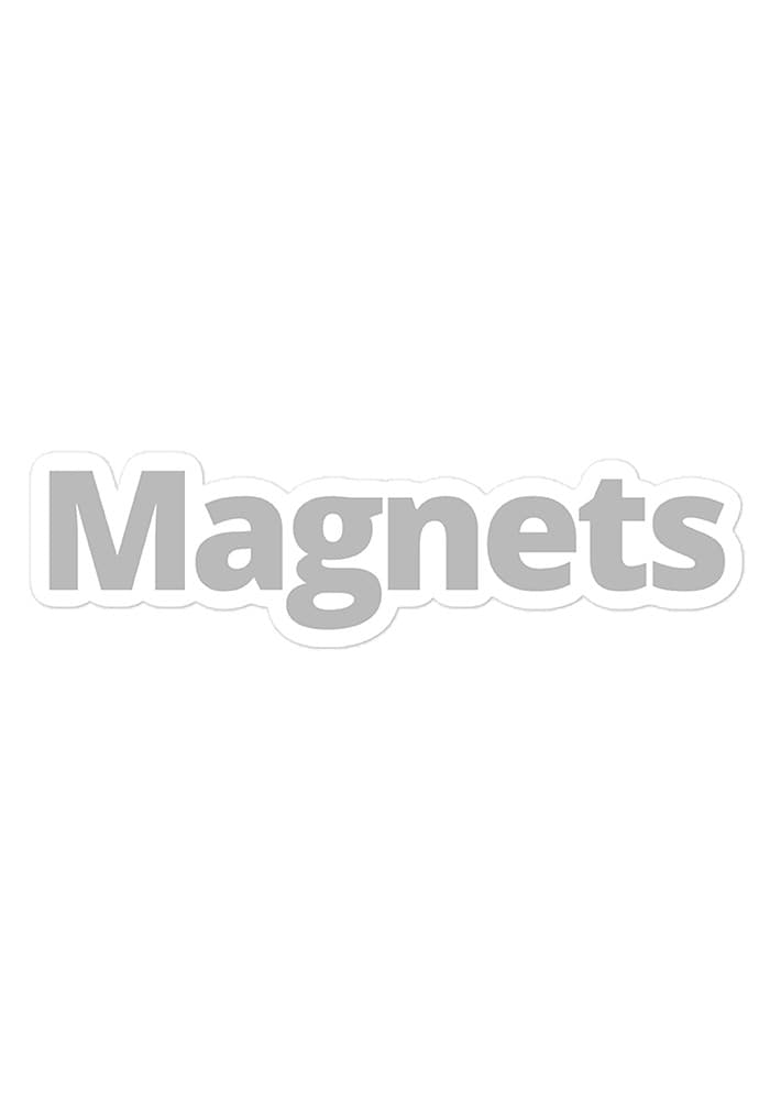 Magnet